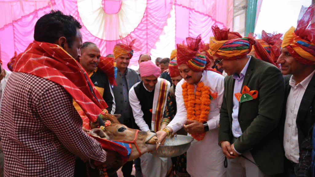 Sunder nagar nalwad mela 2 Suket nalwad mela 2025